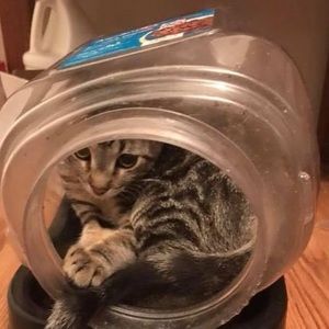 Meet your Posher, Madelyn